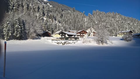 Property building, Day, Winter
