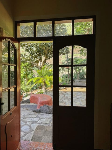 Garden view, kitchen