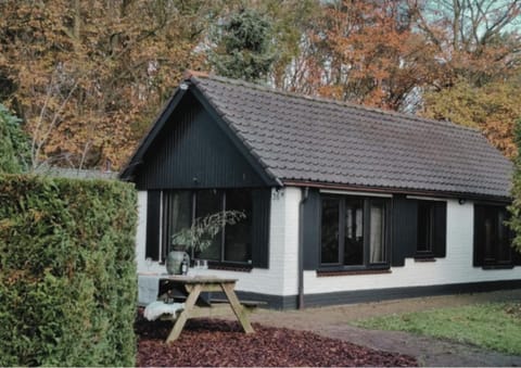 Property building, Day, Garden, Garden view