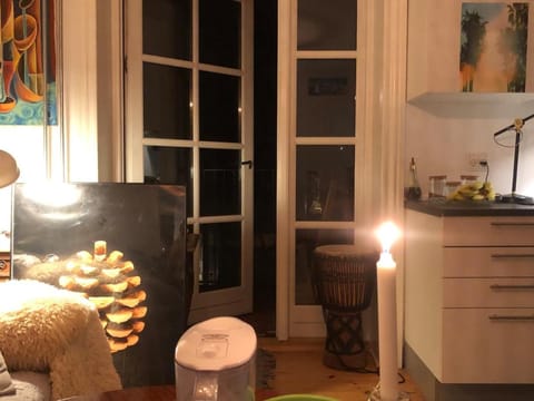 Soulful 3 Room apartment in Østerbro near nature Apartment in Copenhagen