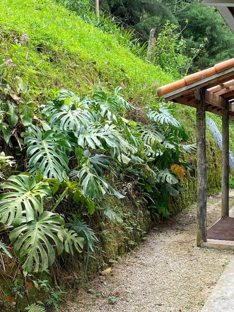 Casinha azul House in Sao Jose dos Campos