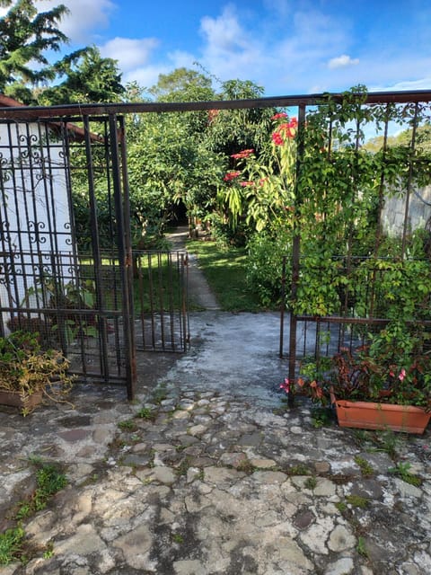 Day, Garden, Garden view