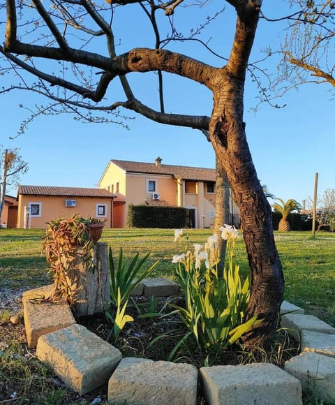 Property building, Day, Natural landscape, Garden, Garden view