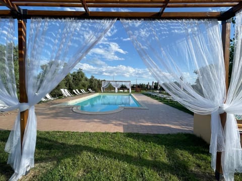 Day, Natural landscape, Garden, Pool view, Swimming pool, sunbed