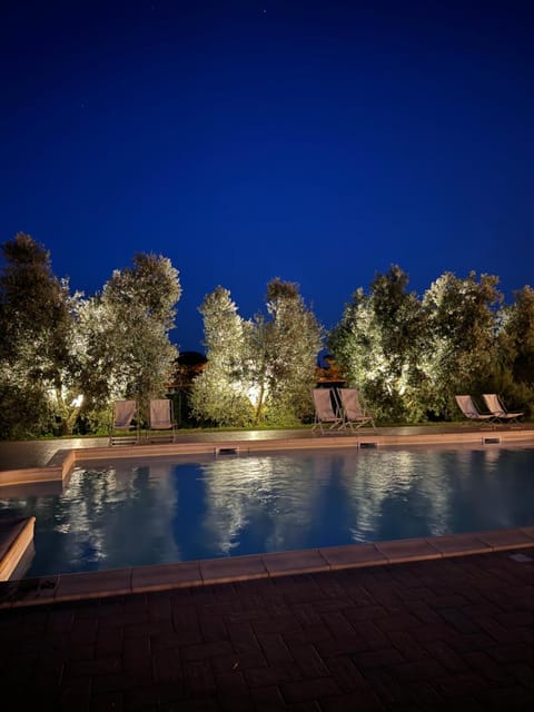 Night, Garden view, Pool view, Swimming pool