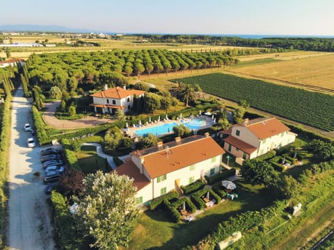 Bird's eye view, Garden, Swimming pool