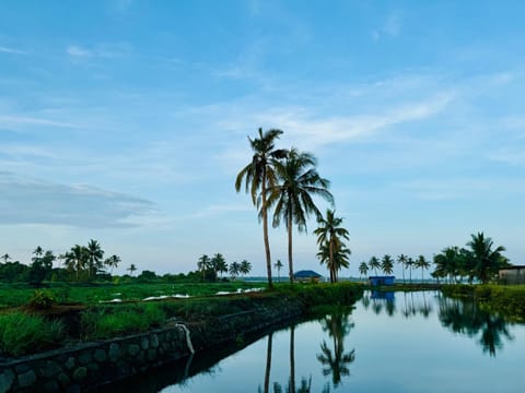 Punarjani Tent Stay Luxury tent in Kochi