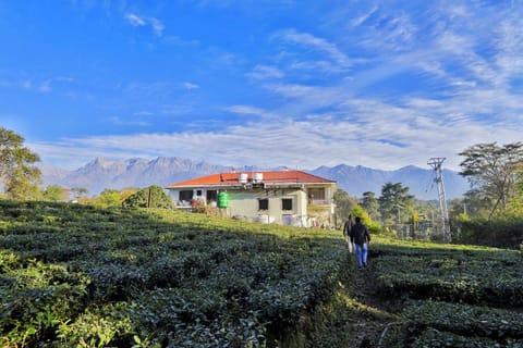 Seclude Palampur, Tea Estate Resort in Punjab, India