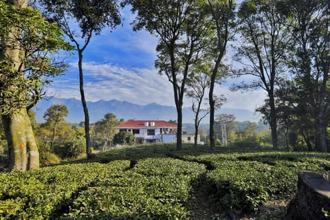 Seclude Palampur, Tea Estate Resort in Punjab, India