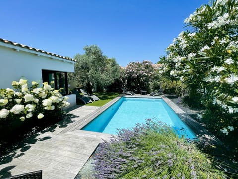 Patio, Garden, Garden view