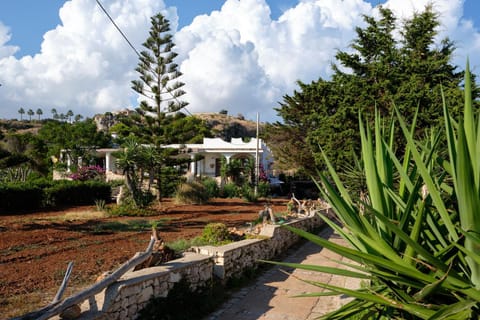 Property building, Natural landscape, Garden