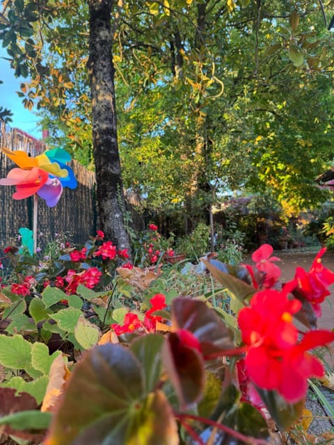 Stella Polare B&B Bed and Breakfast in Umbria