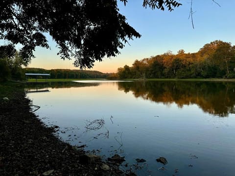 Fishing, Lake view