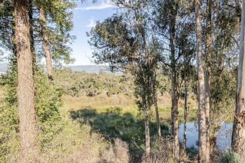 Hidden Lake House With Hot Tub & Views! House in Watsonville