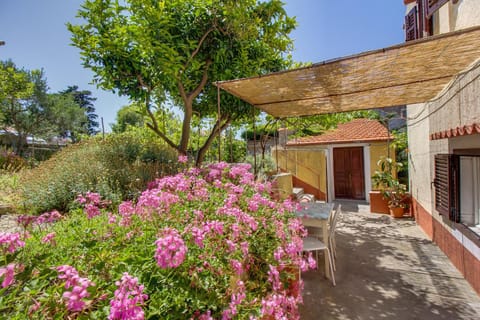 Patio, Garden, Balcony/Terrace