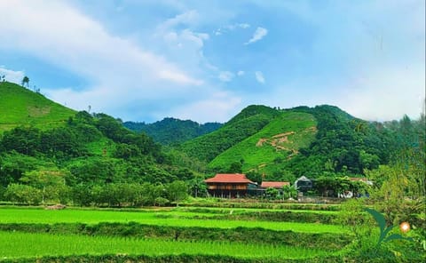 Các homestay Apartment in Laos