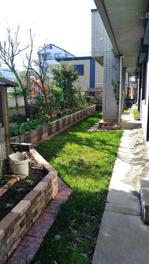 Day, Garden, Garden view