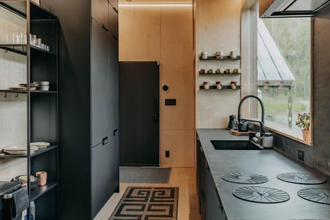 Kitchen or kitchenette, kitchen