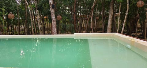 Day, Natural landscape, Pool view, Swimming pool, Swimming pool