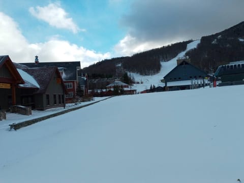 Slopeside Condo at SUGARBUSH Apartment in Warren