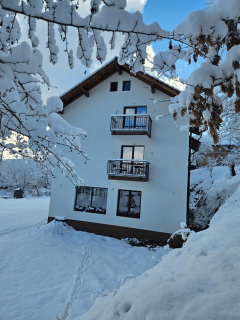 Vila de Sub Pădure Bed and Breakfast in Brașov County