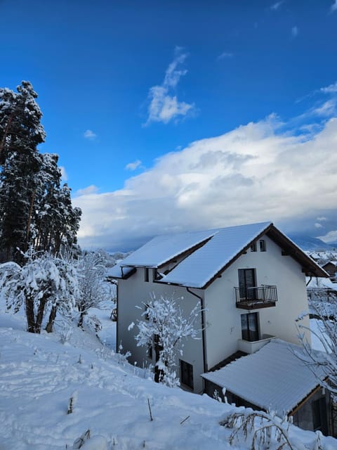 Vila de Sub Pădure Bed and Breakfast in Brașov County