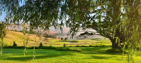 Nearby landmark, Natural landscape, Garden