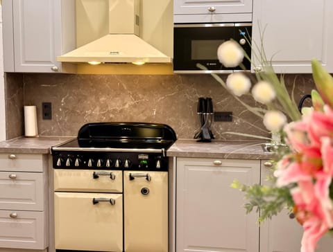 Kitchen or kitchenette, Kitchen or kitchenette, oven