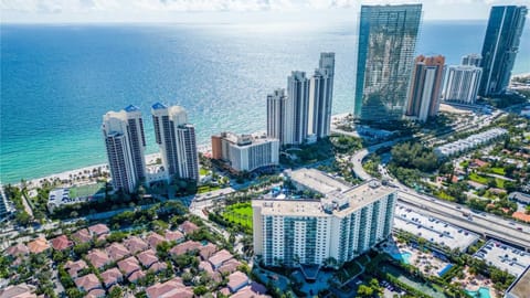 Neighbourhood, Bird's eye view