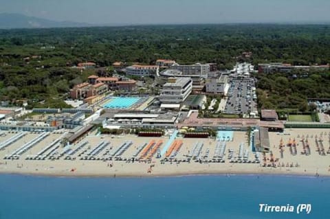 Summer, Beach, Area and facilities