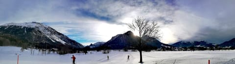 Ferienhaus Eva inkl. Chiemgaukarte House in Ruhpolding