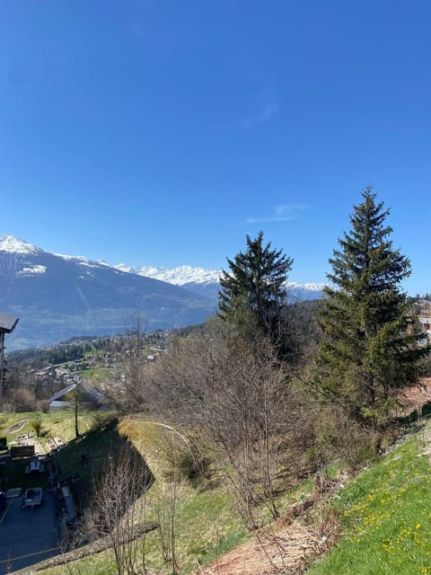 Magnifique appartement avec vue sur les sommets enneigés Apartment in Crans-Montana