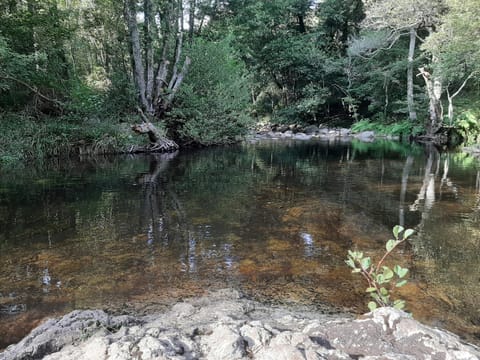 River view