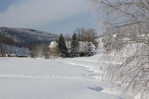 Natural landscape, Winter