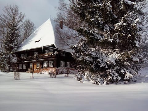 Property building, Natural landscape, Winter