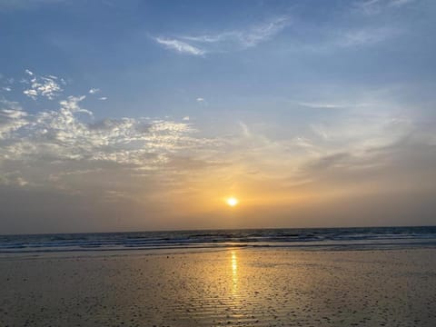 Natural landscape, Beach, Sunset