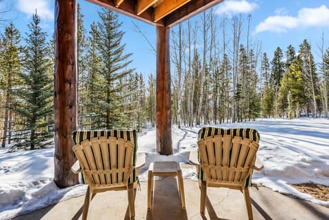 Woodsy Silverthorne Retreat with Patio Apartment in Wildernest