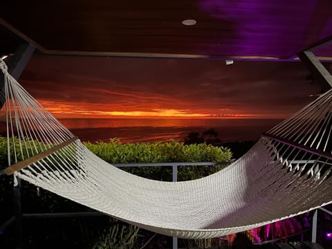 Patio, Balcony/Terrace