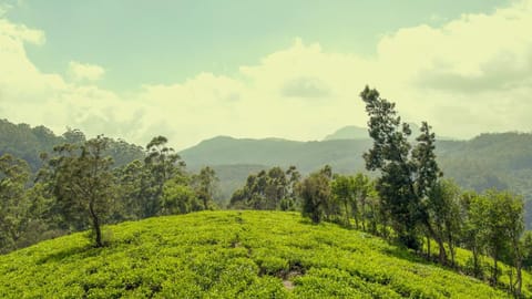 Bluechip Leisure Summerhill Bungalow Hotel in Nuwara Eliya