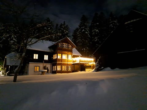 Property building, Night, Winter