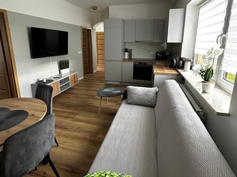 TV and multimedia, Living room, Dining area, Evening entertainment, minibar, stove