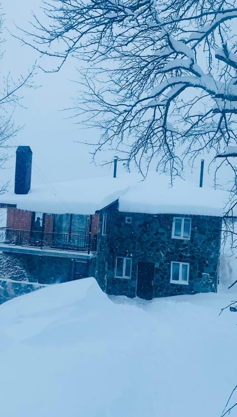 გოდერძი Bed and Breakfast in Adjara, Georgia