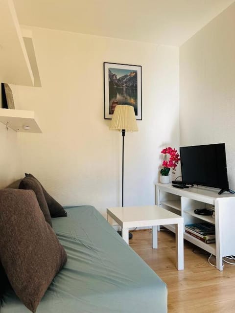 Charmant appartement en plein centre ville de Nogent sur Marne Apartment in Nogent-sur-Marne