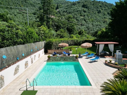 Garden, On site, Swimming pool