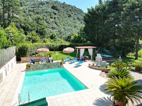 Garden, On site, Swimming pool