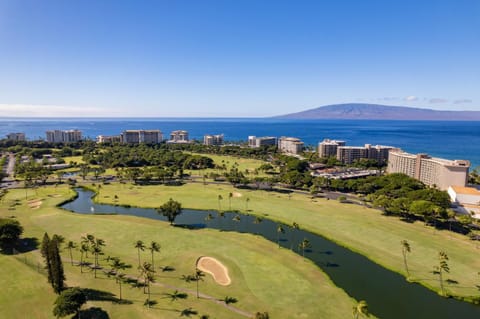 Kaanapali Royal B201 Your Dream Hawaiian Retreat House in Kaanapali