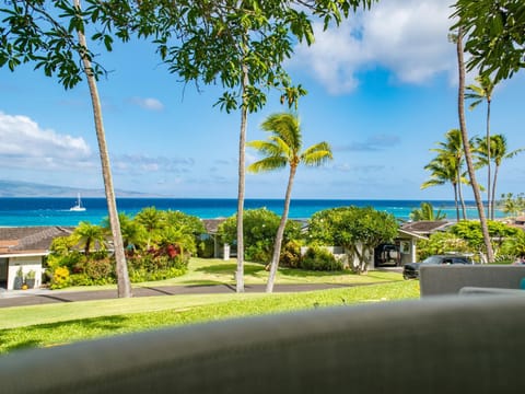 Exclusive Oceanfront Access at Alaeloa #3 House in Kapalua