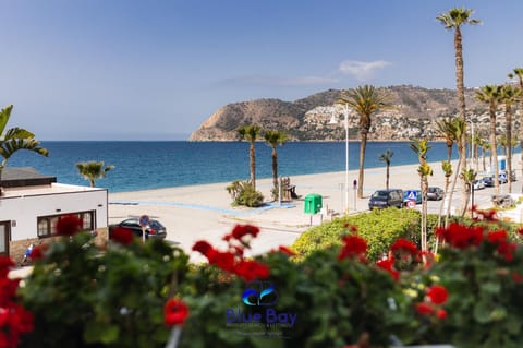 Natural landscape, Beach, Sea view