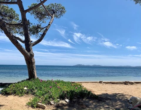 L Eden Croisette nid douillet en bord de plage Apartment in La Londe-les-Maures