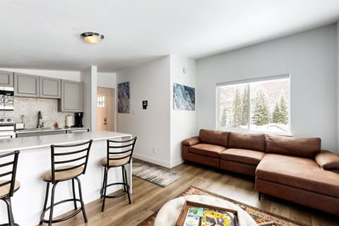 Eagles Nest + Rogers Roost + The Peak Pad + Studio Shred Apartment in Vail